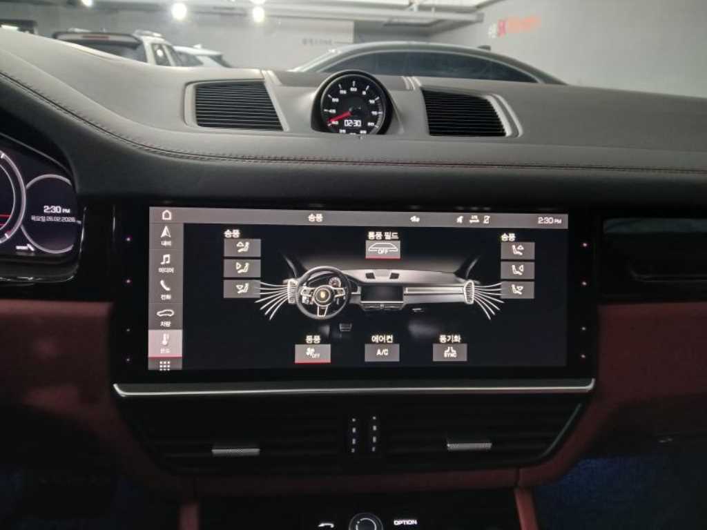 Porsche Cayenne - Vista 11