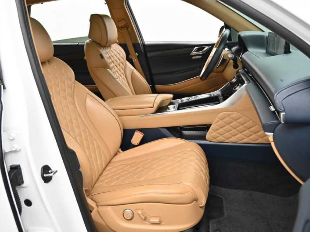 Genesis GV80 - Vista 10