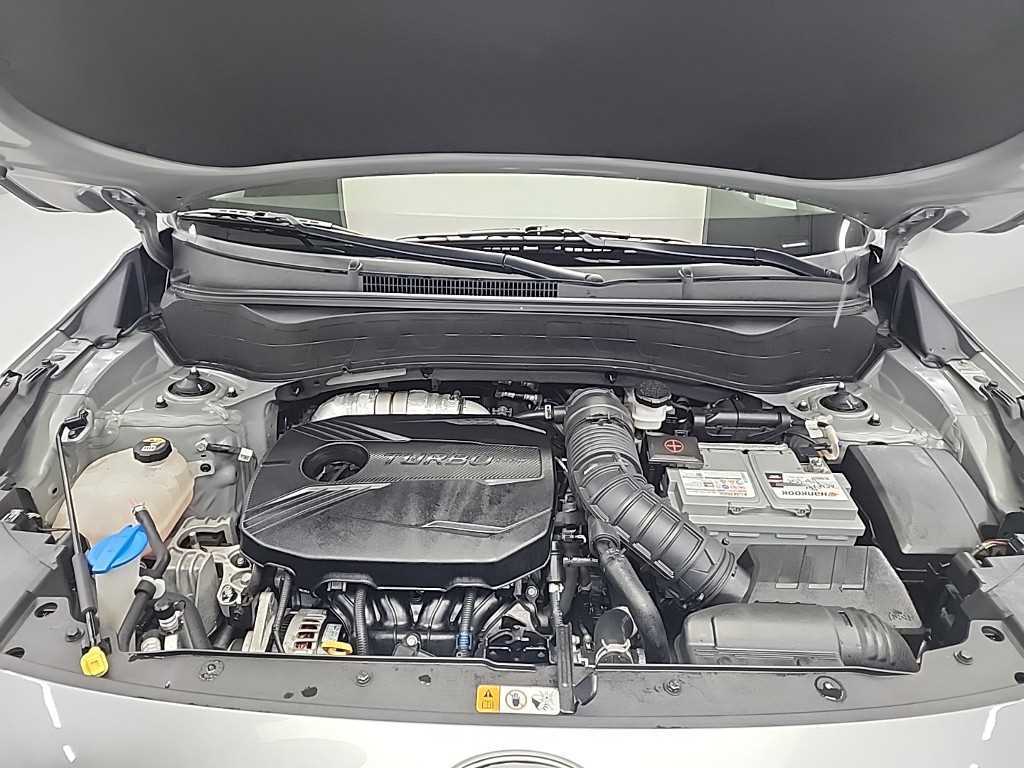 KIA Seltos - Vista 5