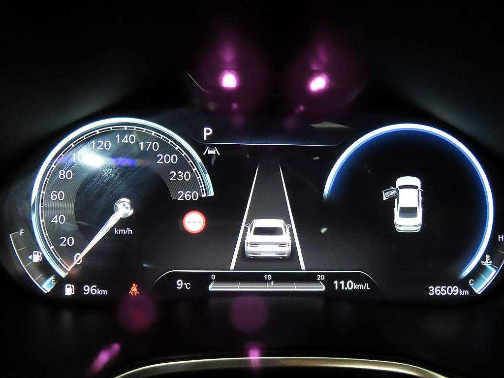 Genesis G80 - Vista 9