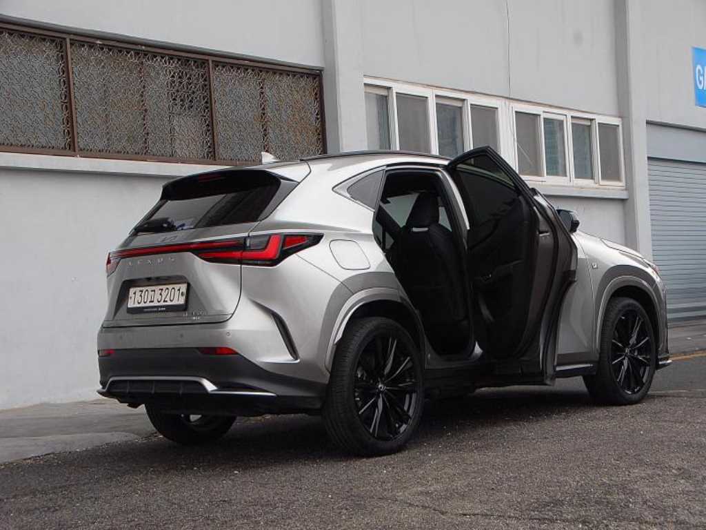 Lexus NX - Vista 5