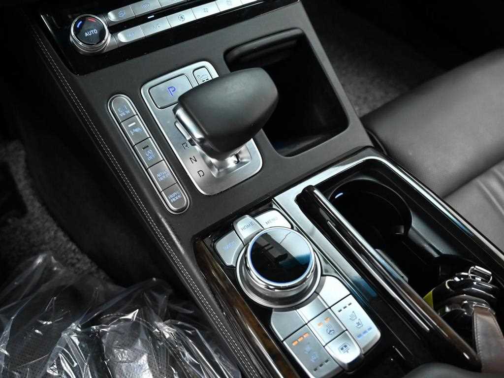 Genesis G90 - Vista 9