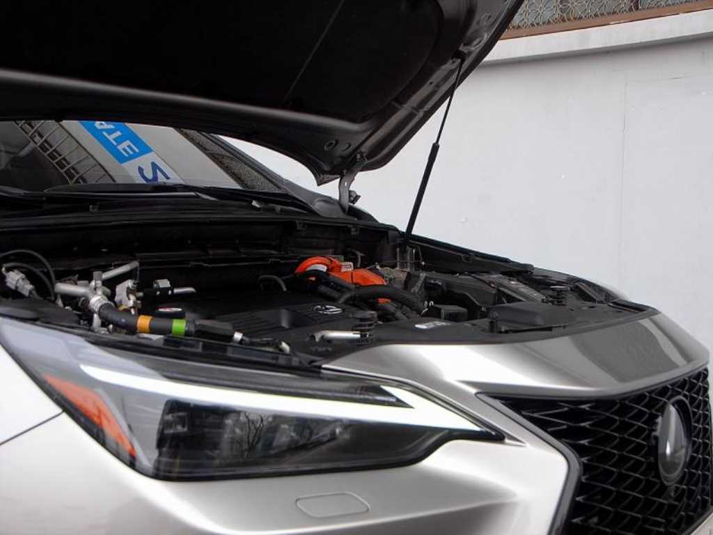 Lexus NX 2023 - Importación desde Corea - HF Imports Iquique - Foto 20