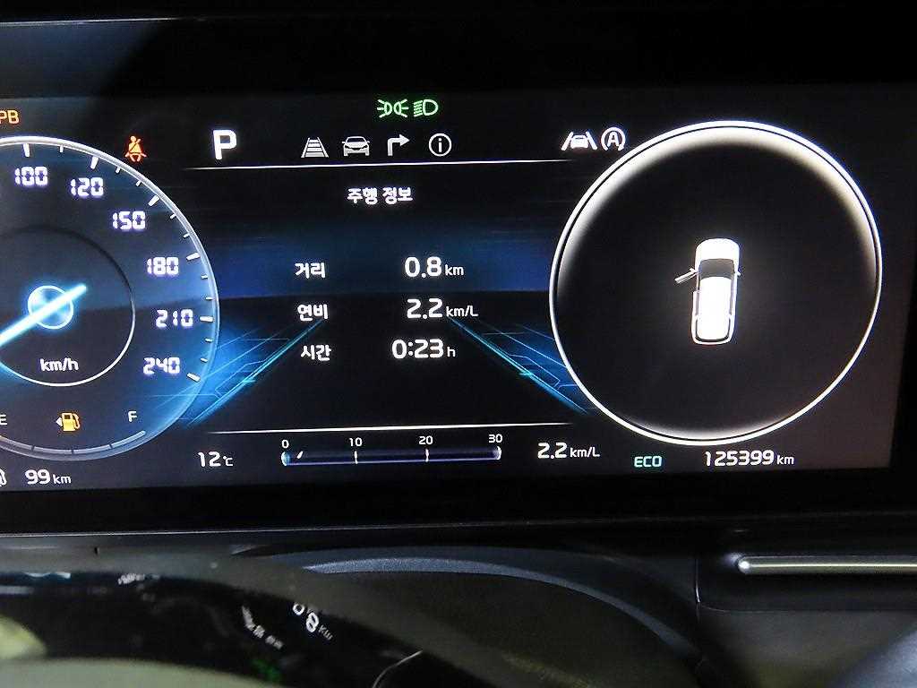 KIA Carnival - Vista 9