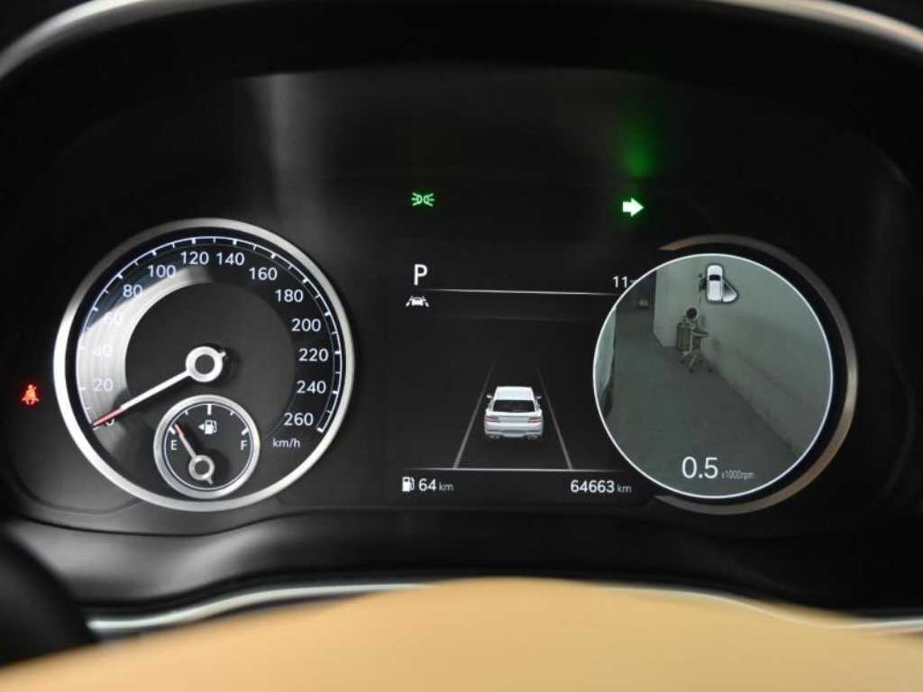 Genesis GV80 - Vista 8