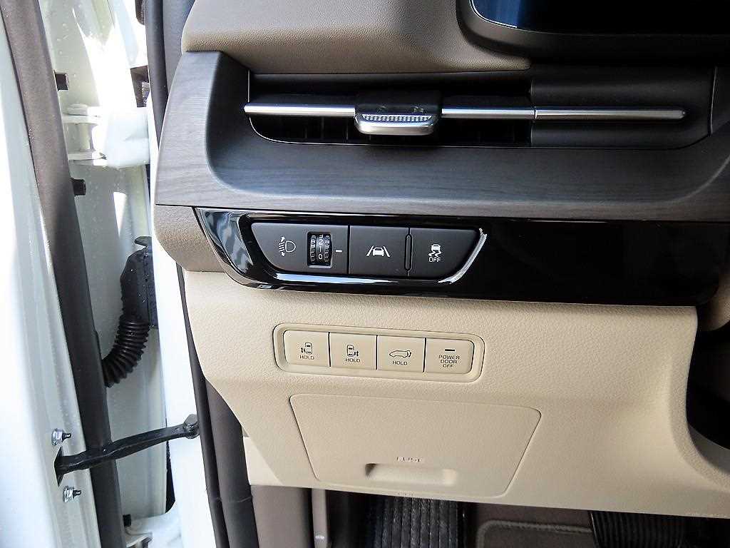 KIA Carnival - Vista 12