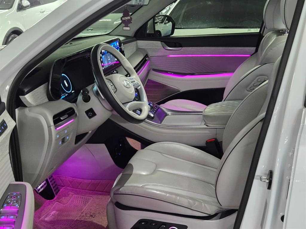 HYUNDAI Palisade - Vista 10