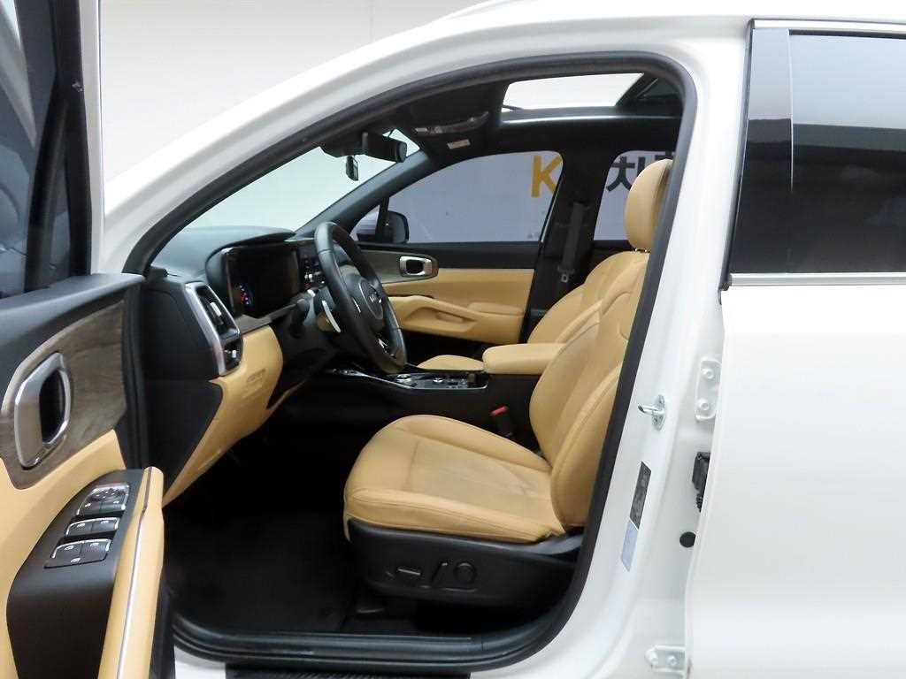 KIA Sorento - Vista 12