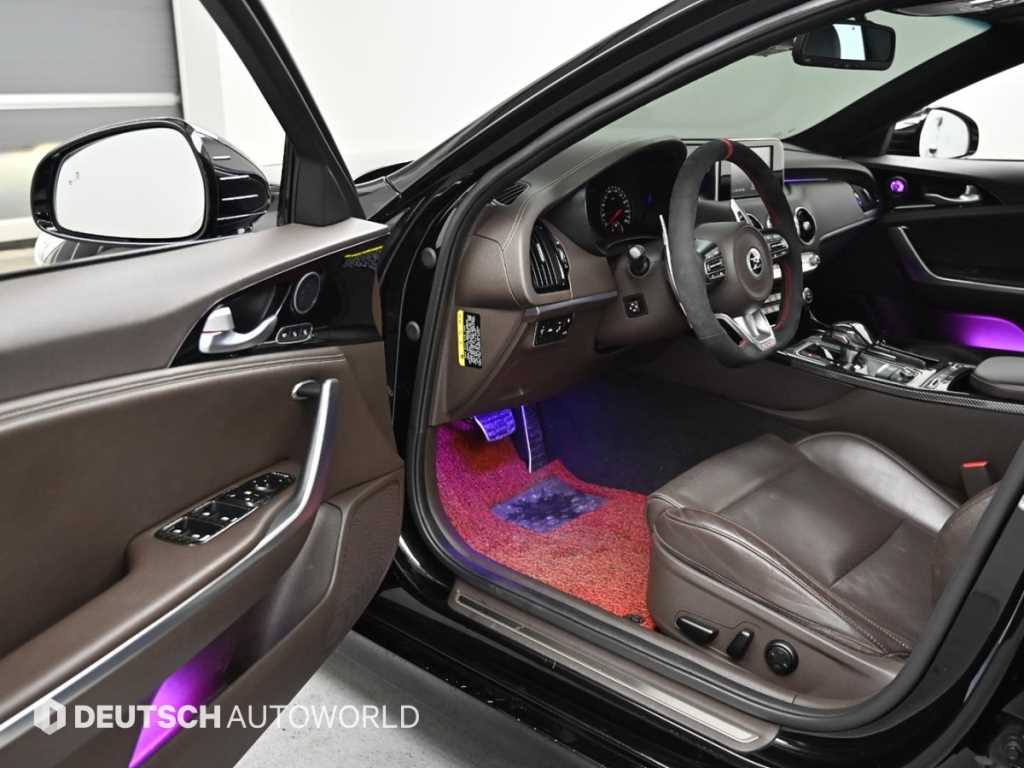 KIA Stinger - Vista 11