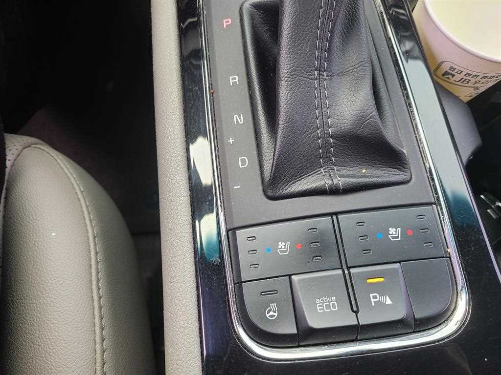 KIA Carnival - Vista 8