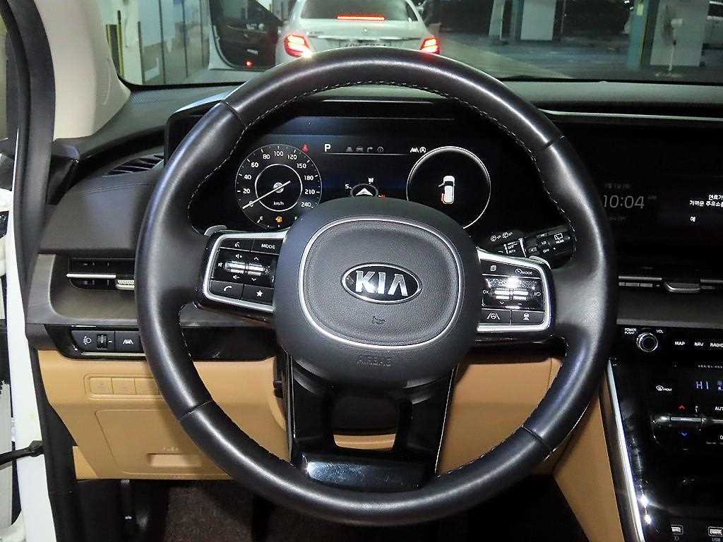 KIA Carnival - Vista 8