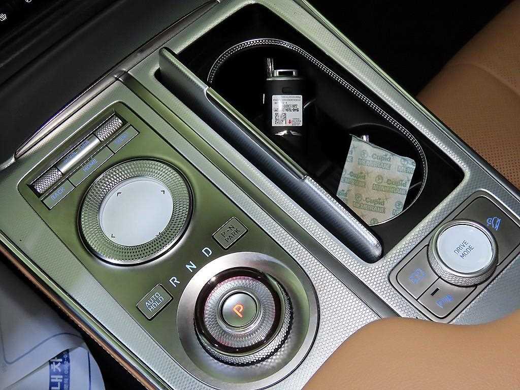 Genesis GV80 - Vista 12