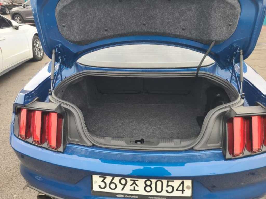 Ford Mustang - Vista 6