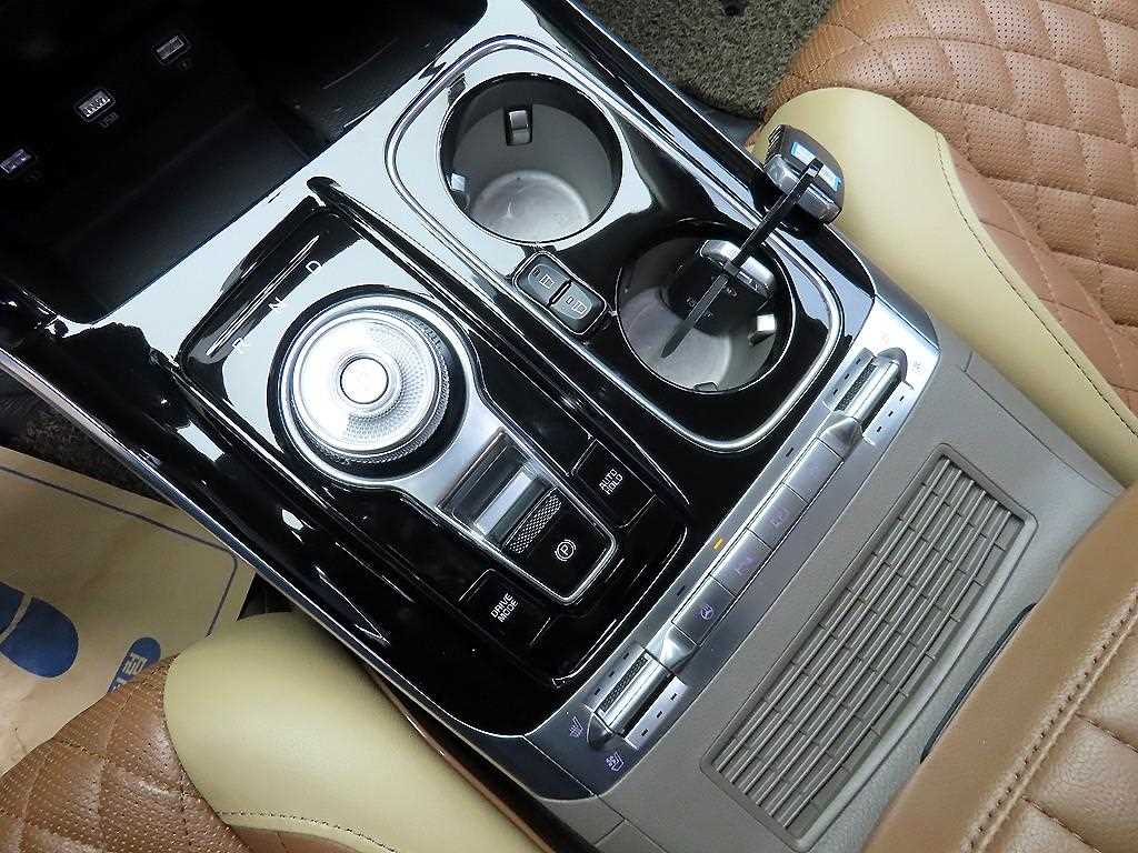 KIA Carnival - Vista 9