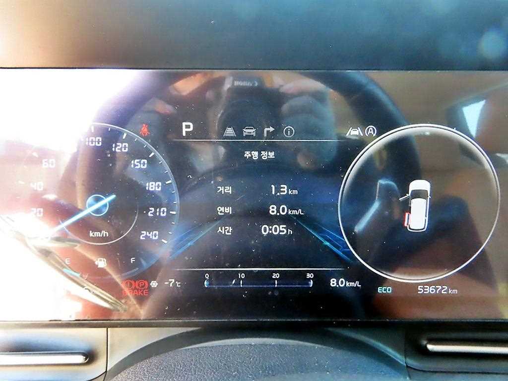 KIA Carnival - Vista 9