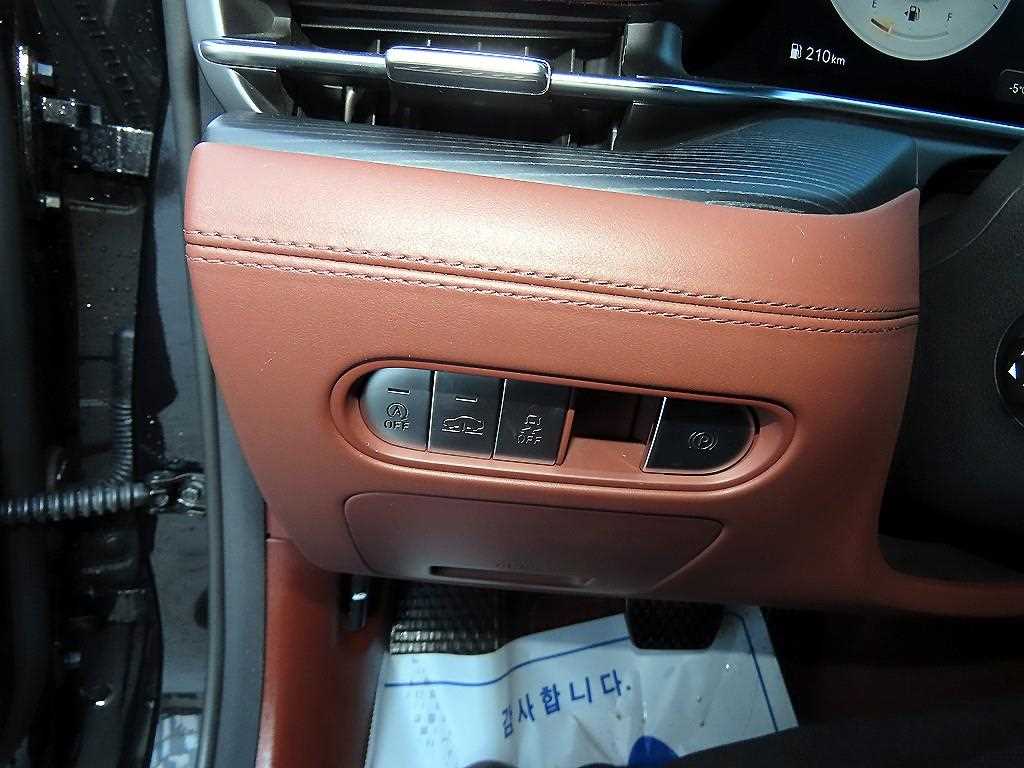 Genesis G90 - Vista 12