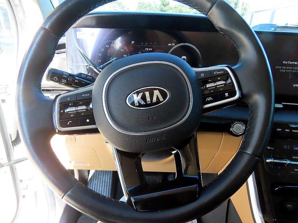KIA Carnival - Vista 8