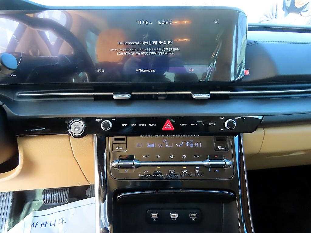 KIA Carnival - Vista 12