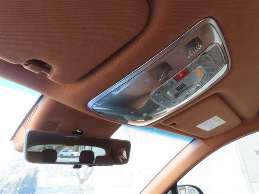 Genesis GV80 - Vista 10