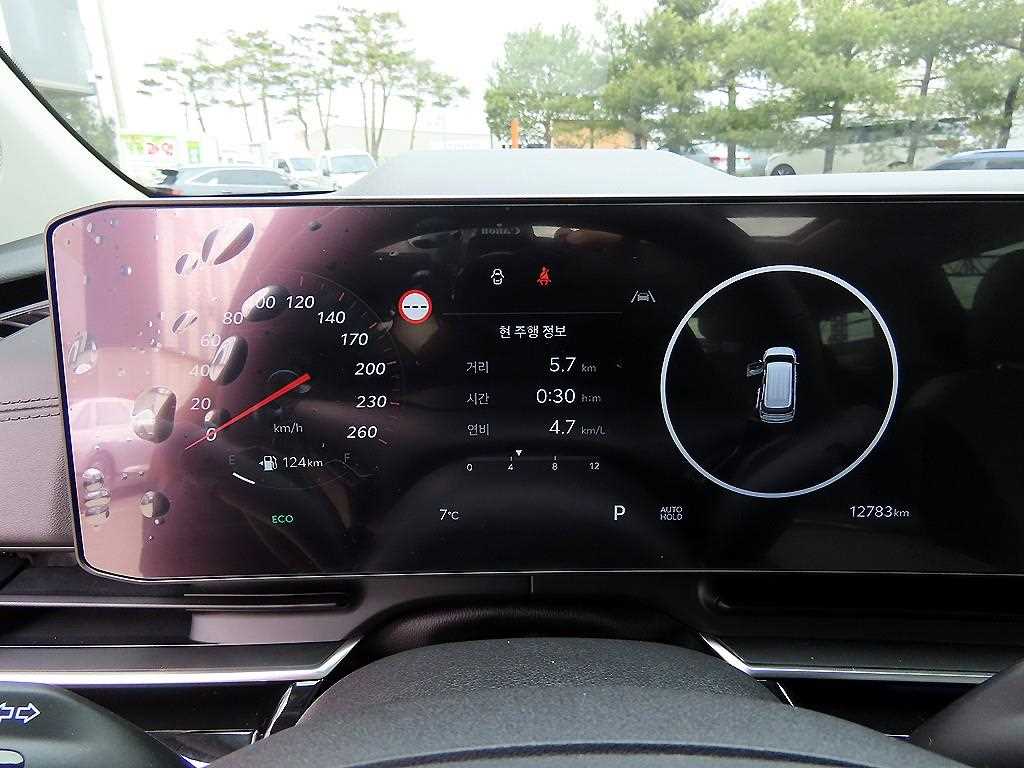 KIA Carnival - Vista 9