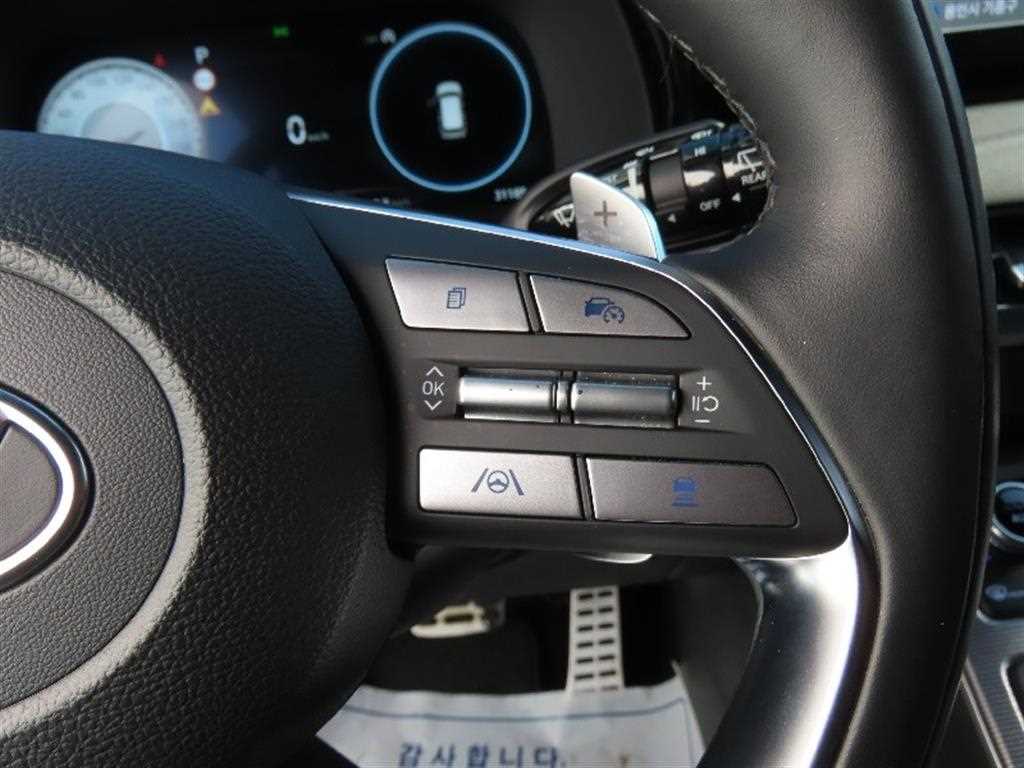 HYUNDAI Palisade - Vista 10