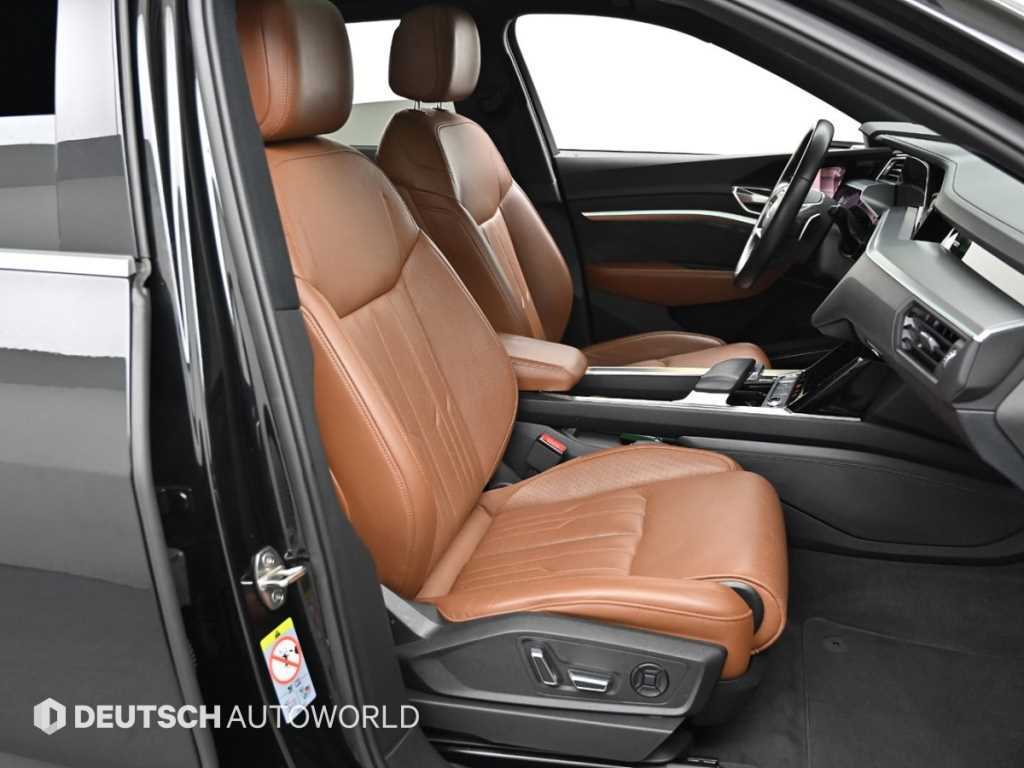 Audi e-Tron - Vista 10