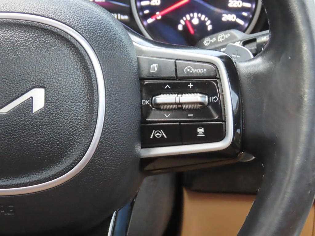 KIA Carnival - Vista 11