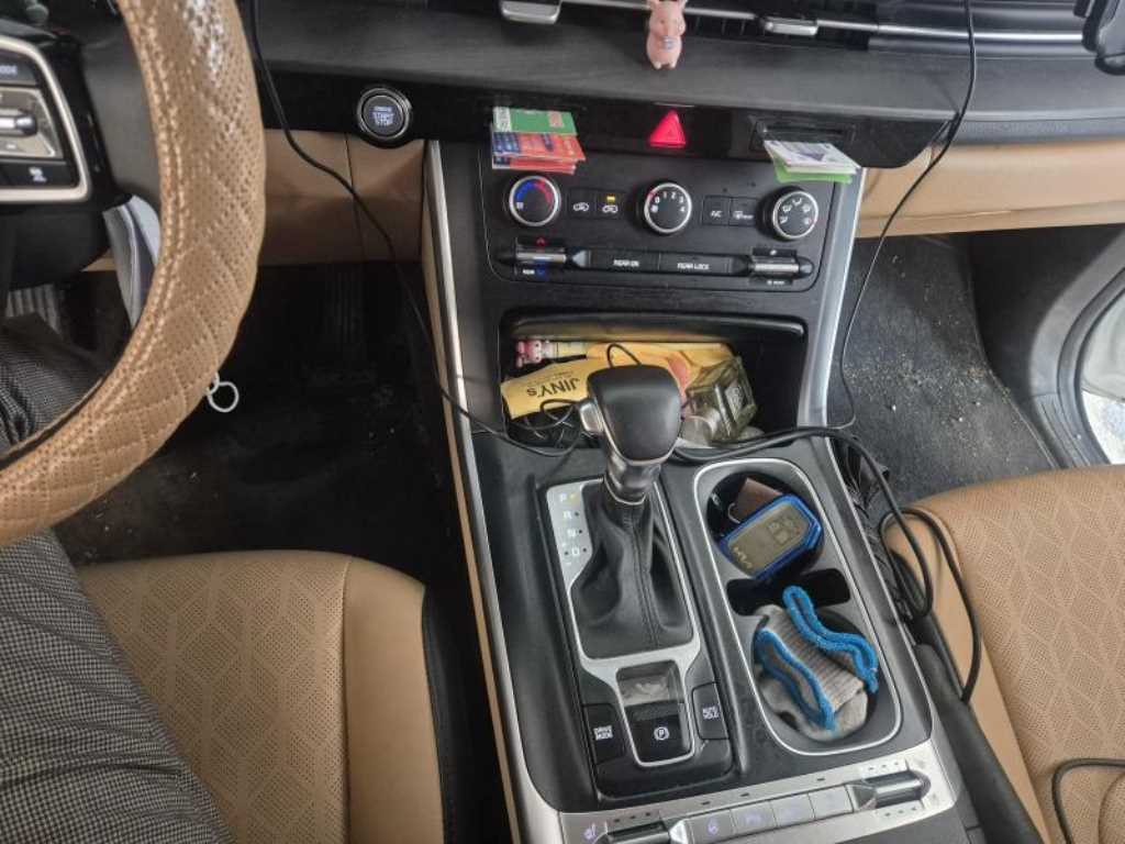 KIA Carnival - Vista 10