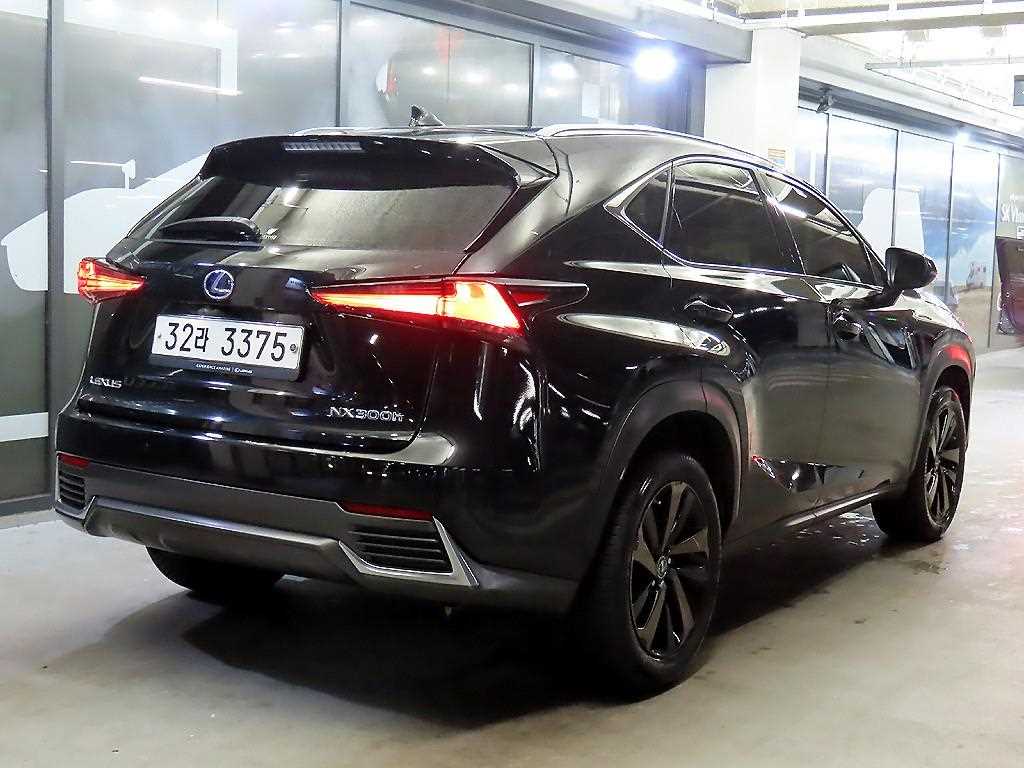 Lexus NX - Vista 4