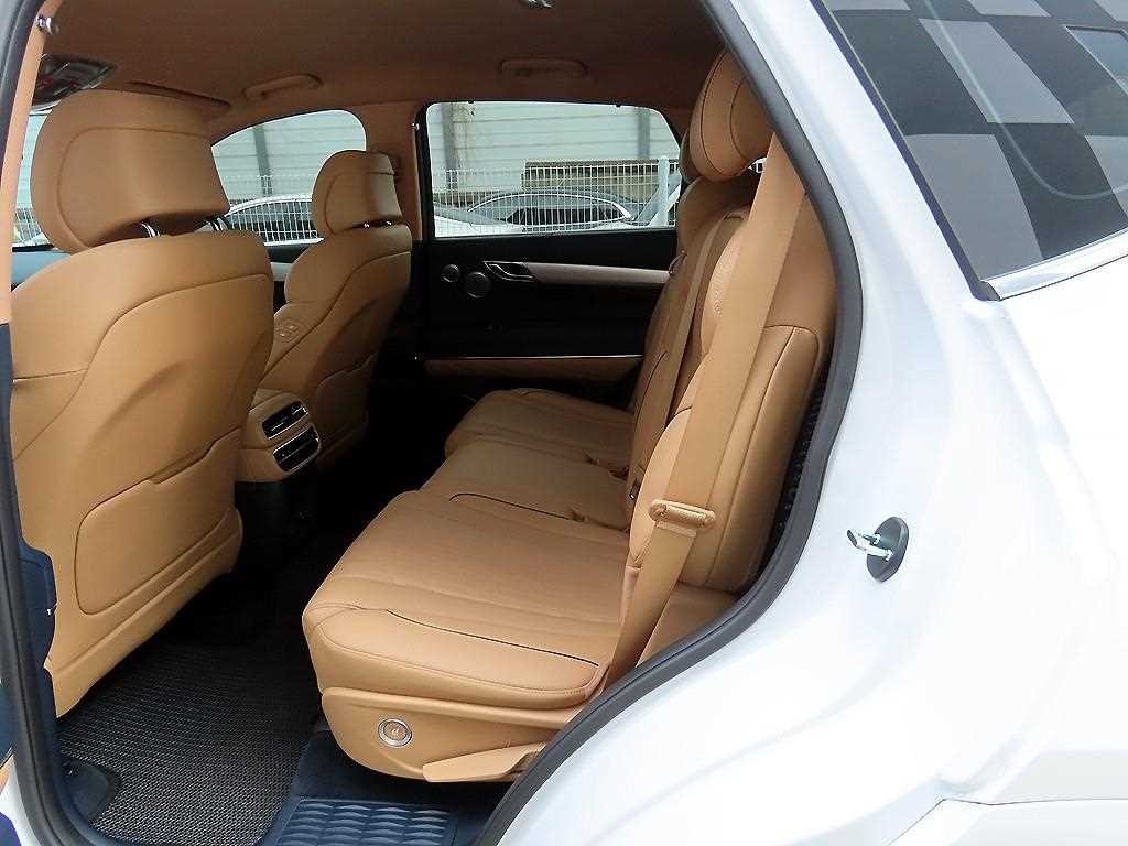 Genesis GV80 - Vista 6