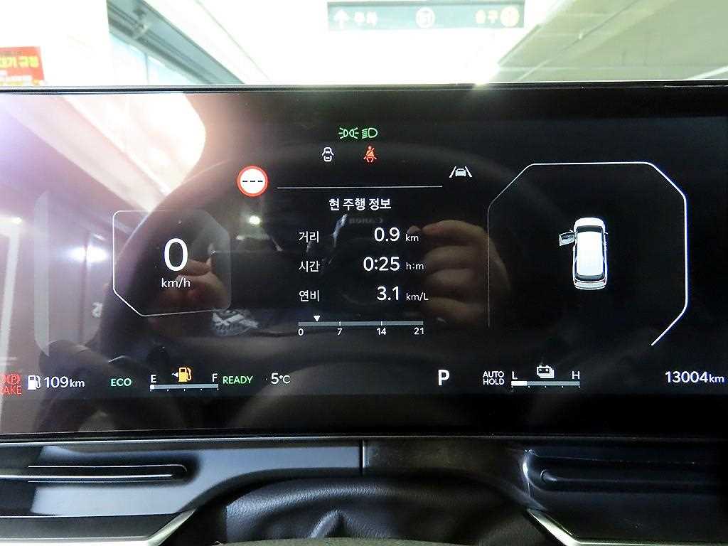 KIA Carnival - Vista 9