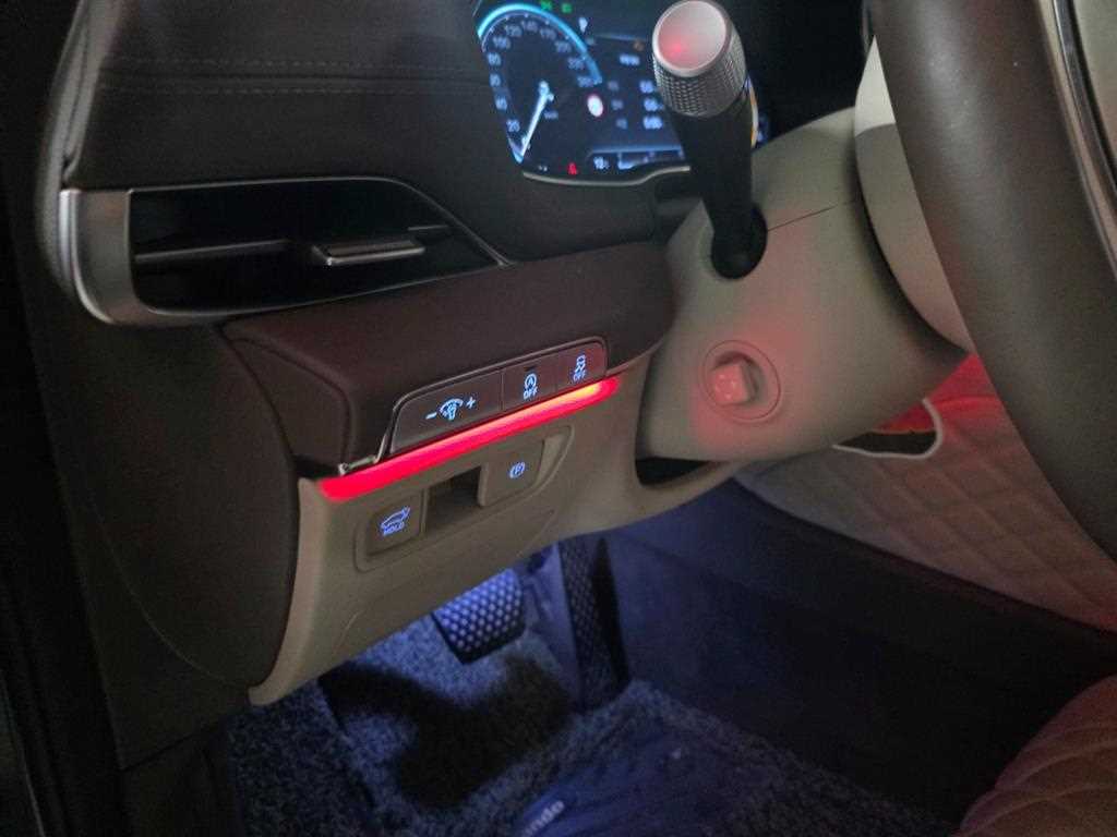 Genesis GV80 - Vista 10