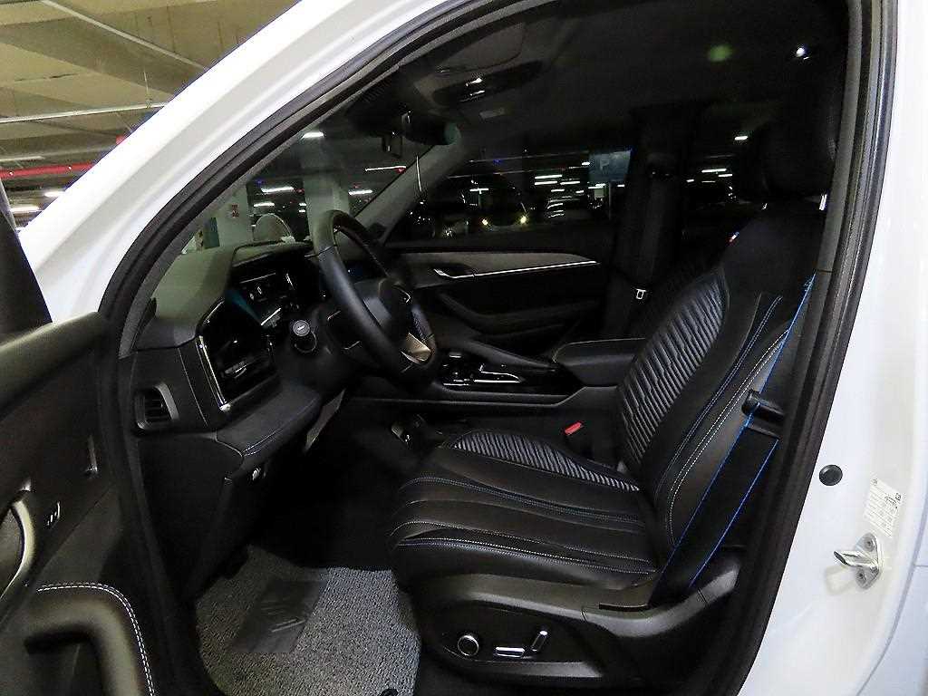 SAMSUNG Grand Koleos - Vista 6