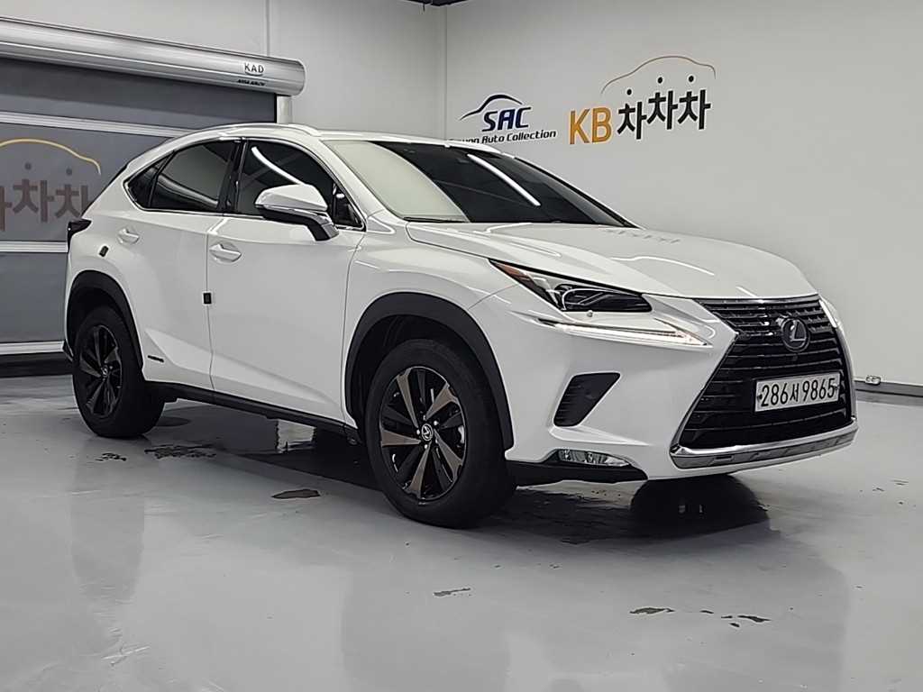 Lexus NX - Vista 4