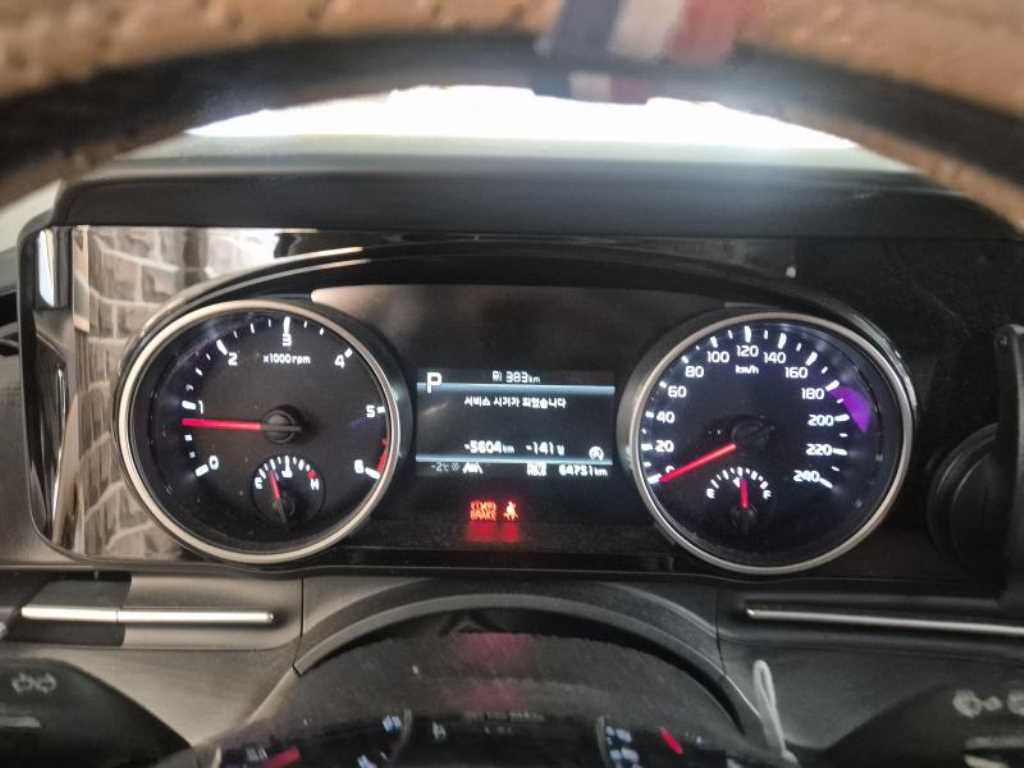 KIA Carnival - Vista 8