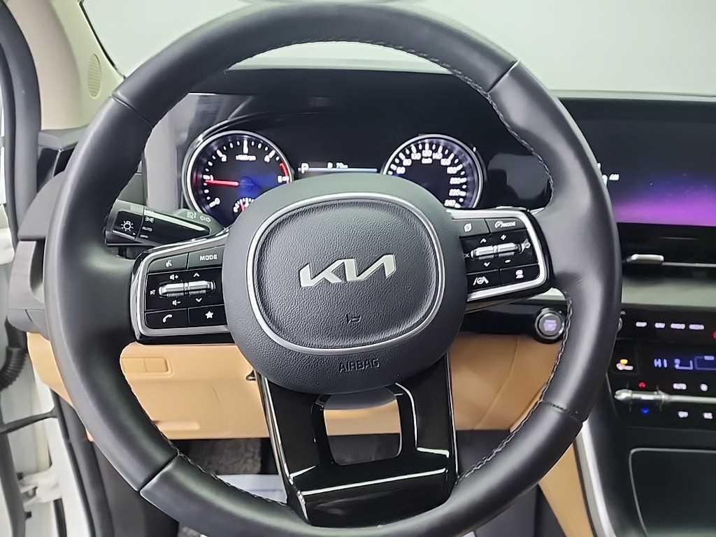 KIA Carnival - Vista 9