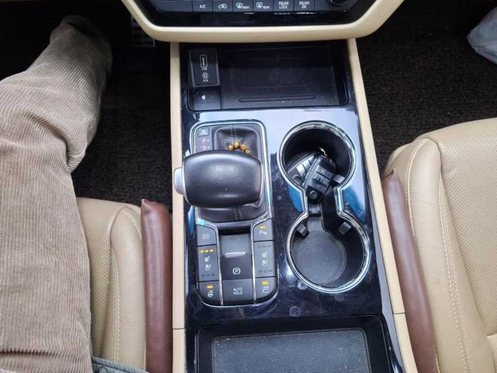 KIA Carnival - Vista 12