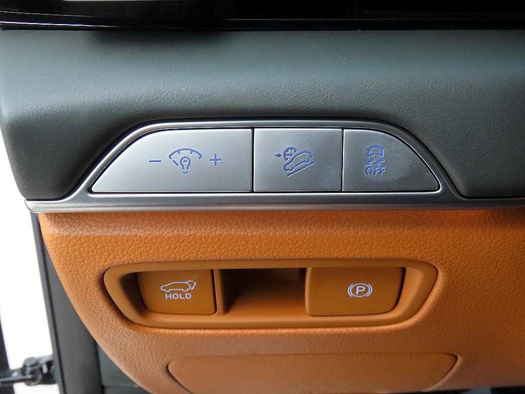 Genesis GV80 - Vista 12