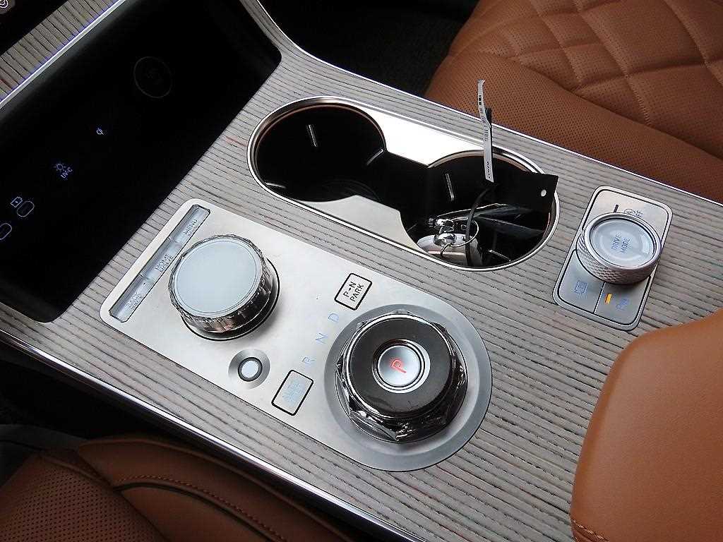 Genesis GV80 - Vista 10