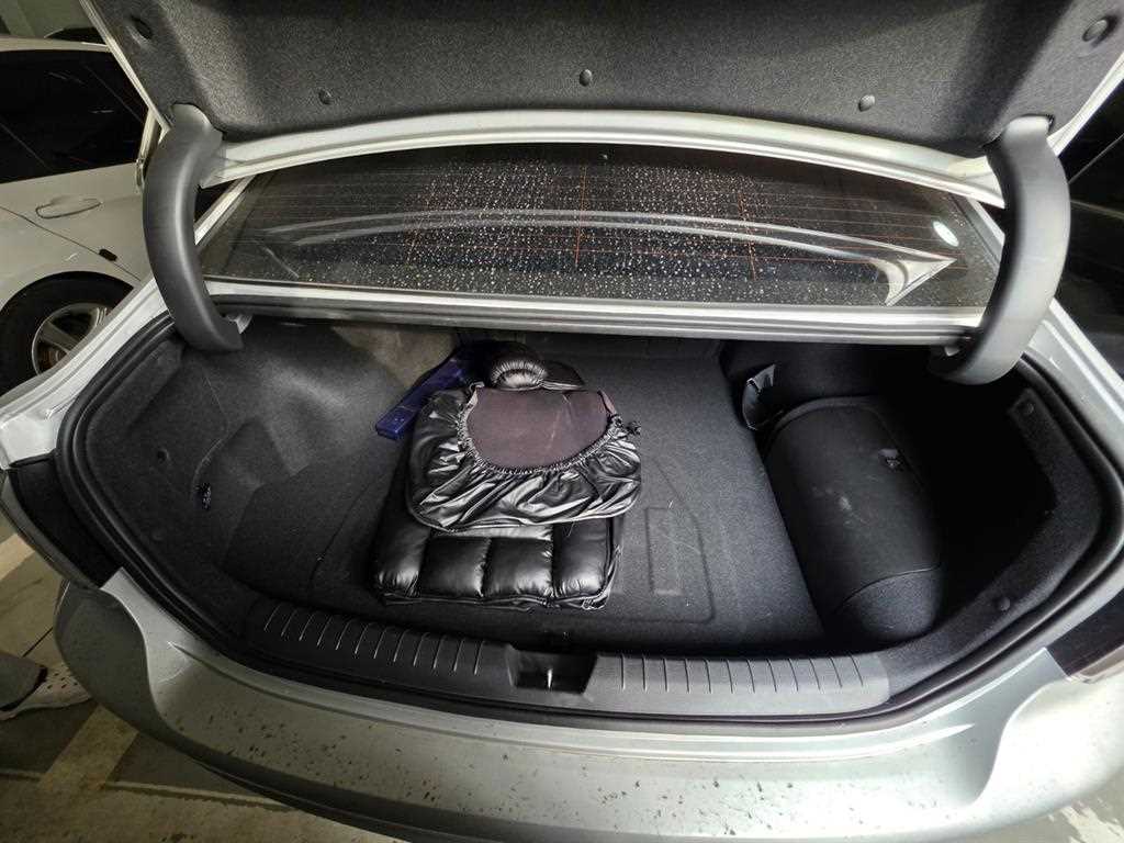 HYUNDAI Sonata - Vista 10