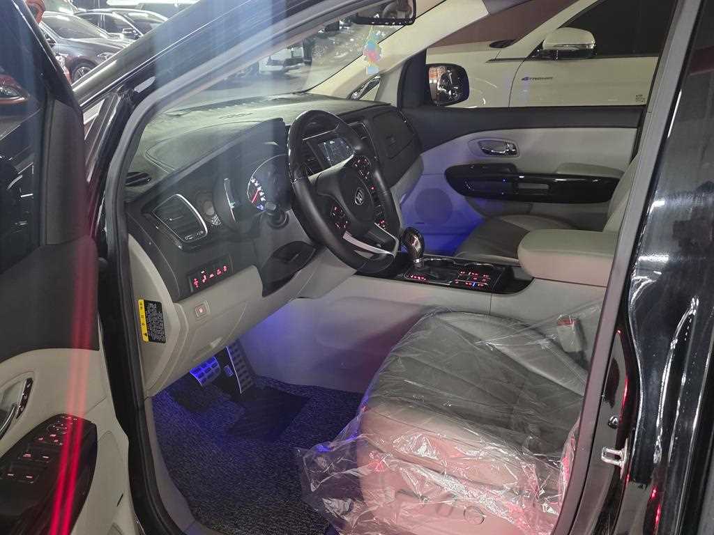 KIA Carnival - Vista 8