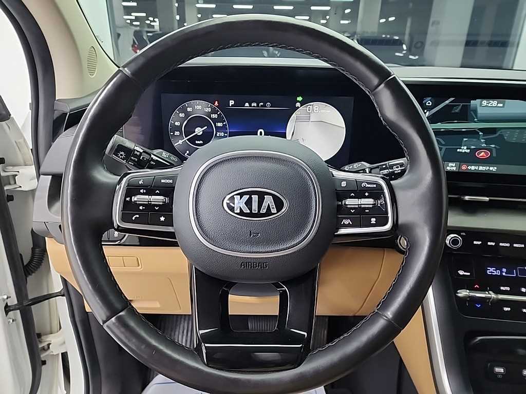 KIA Carnival - Vista 9