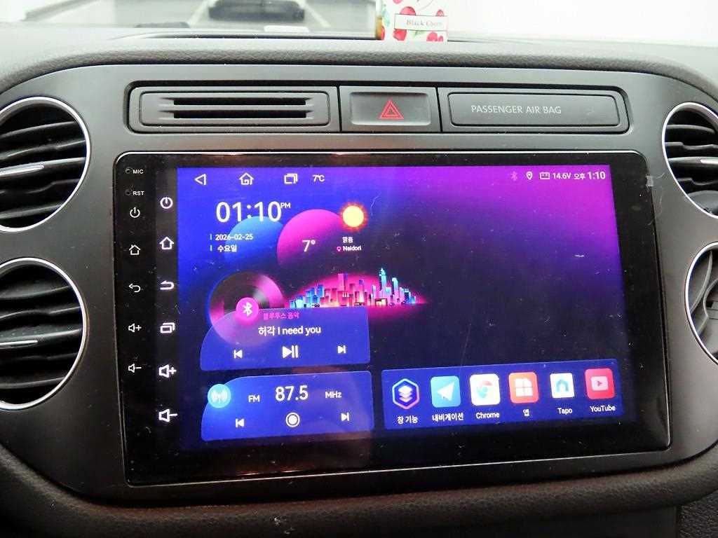 Volkswagen Tiguan - Vista 9