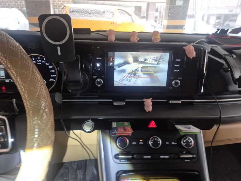 KIA Carnival - Vista 12