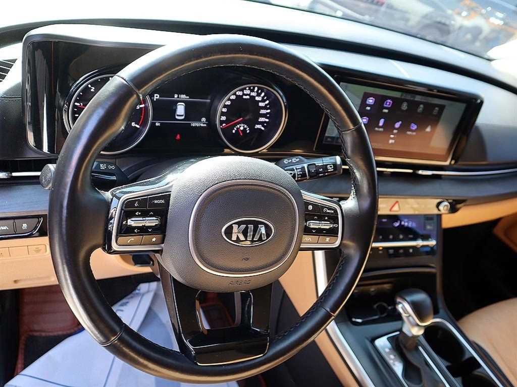 KIA Carnival - Vista 8