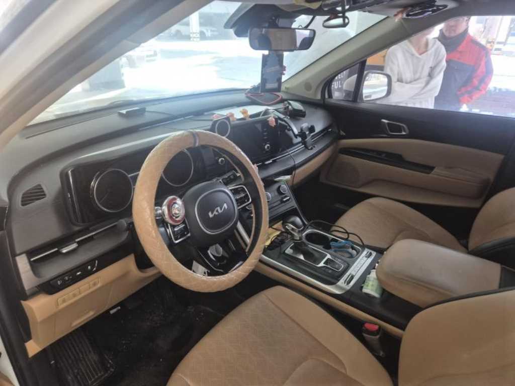 KIA Carnival - Vista 6