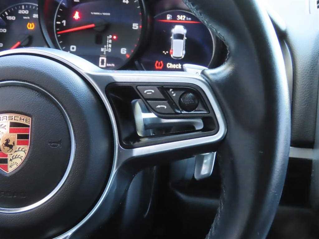 Porsche Cayenne - Vista 12