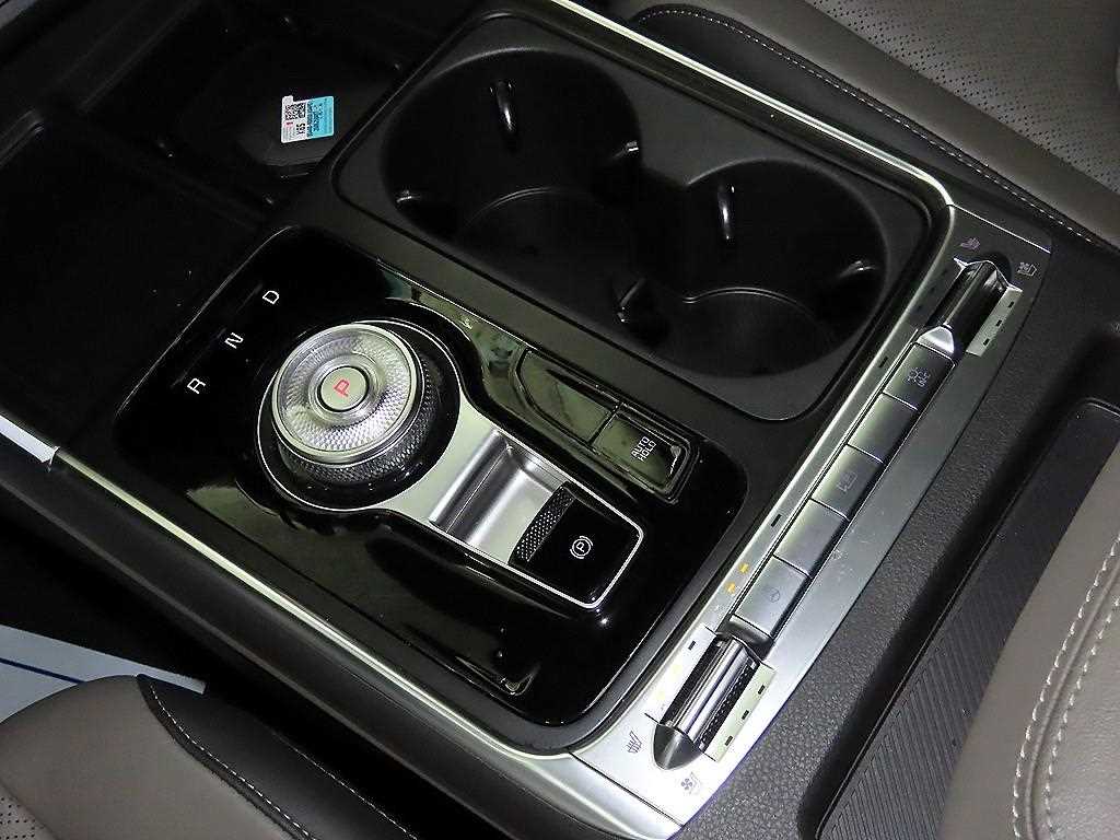 KIA Carnival - Vista 12