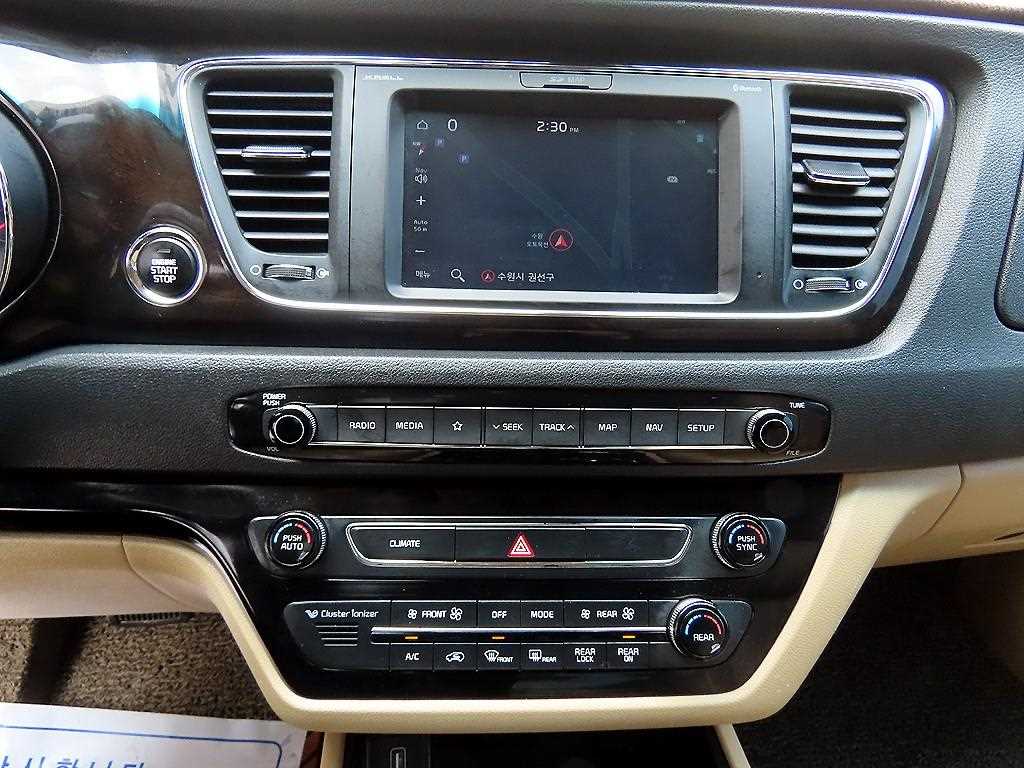 KIA Carnival - Vista 12
