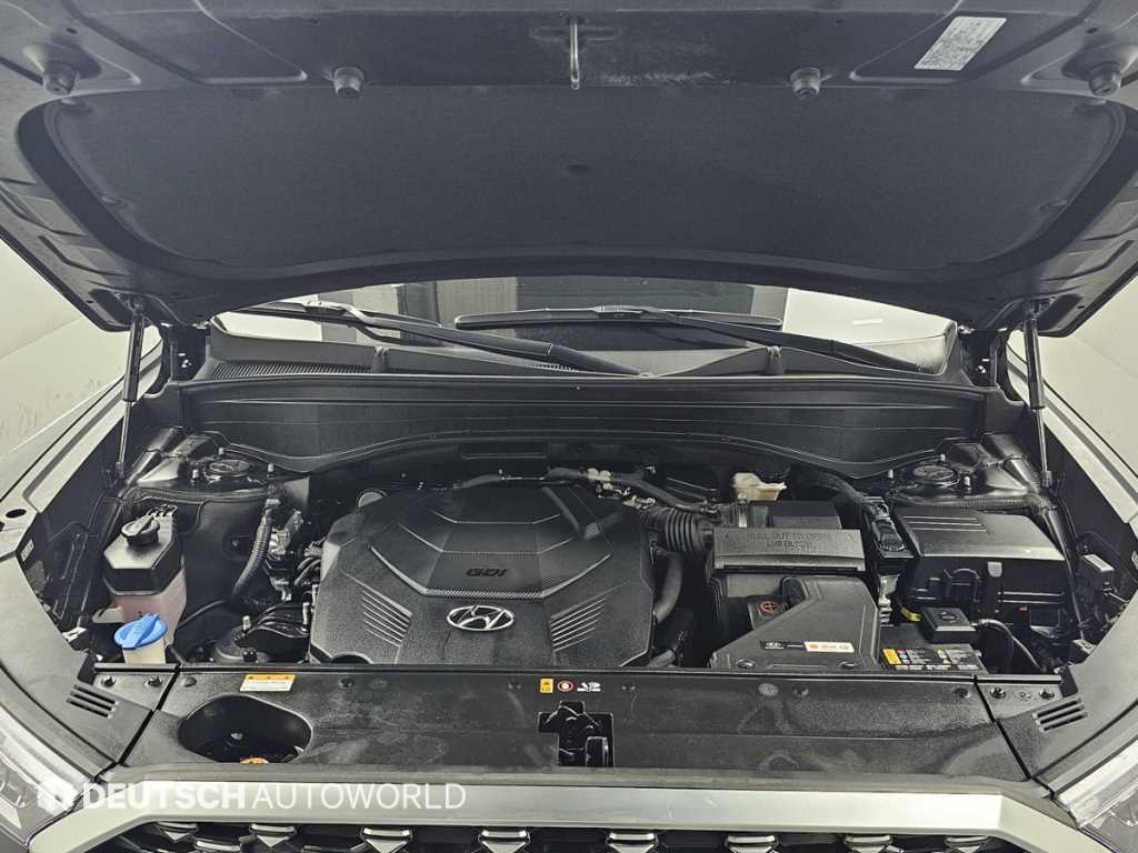 HYUNDAI Palisade - Vista 6